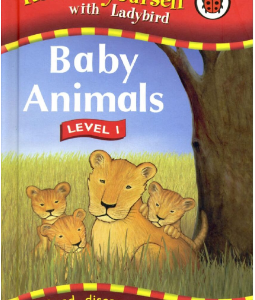 Baby Animals