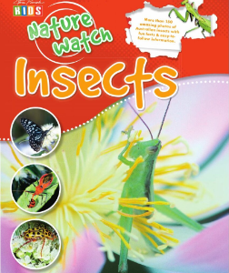 Nature Watch. Insect