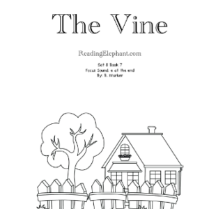 The Vine