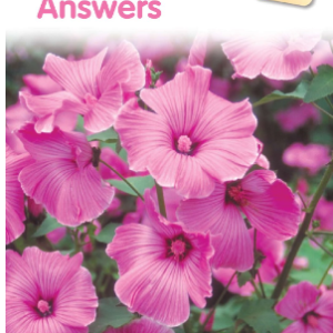 Collins English Skills 4