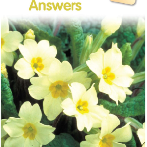 Collins English Skills 6